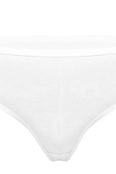 Weweus 3'lü Beyaz Micro Modal Premium Kadın Külot 72643 - Resim 7