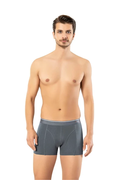 ERDEM İÇ GİYİM Erdem Füme Pamuk Elastan Klasik Boxer 1445 ürün görseli