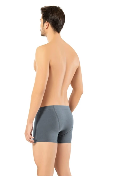 ERDEM İÇ GİYİM Erdem Füme Kısa Görünümlü Slim Fit Boxer 1420 - 3