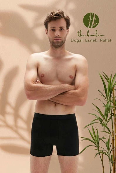 ERDEM İÇ GİYİM Weweus Siyah Erkek Süper Ince Doğal Bambu Lüks Boxer 1012 - 3
