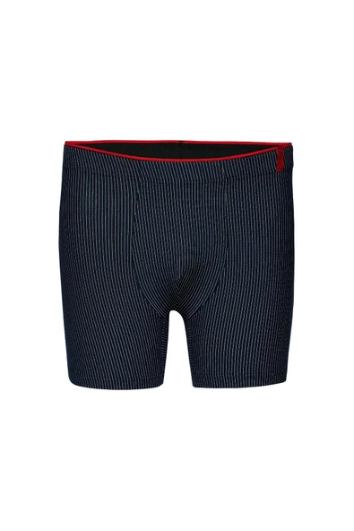 Weweus Siyah Lacivert Gri 3'lü Pamuk Elastan Çizgili Boxer 14923 - Resim 2