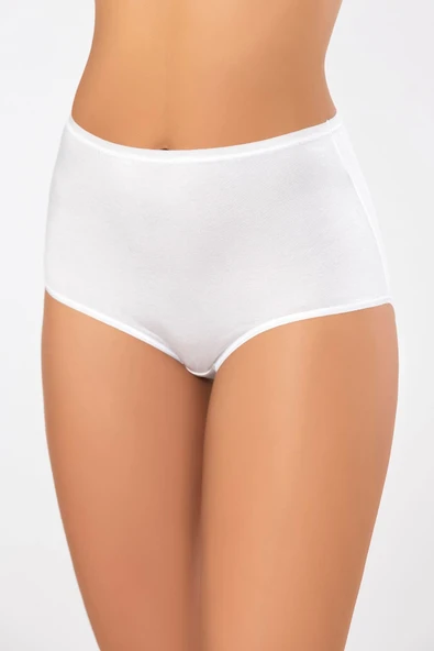 Weweus 3'lü Beyaz Micro Modal Premium Kadın Külot 72653 - Resim 7