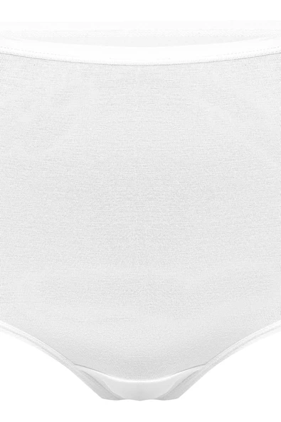 Weweus 3'lü Beyaz Micro Modal Premium Kadın Külot 72653 - Resim 5