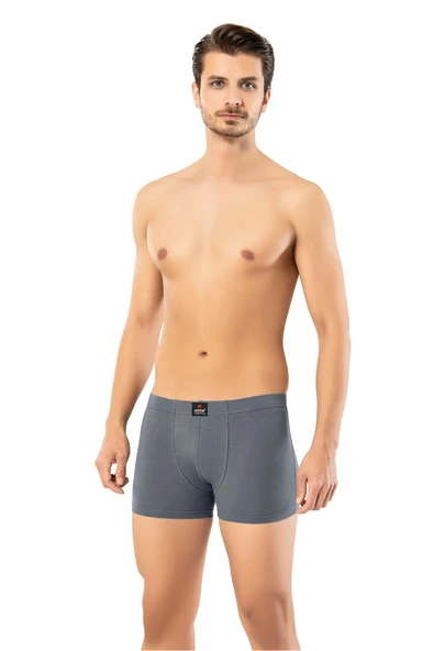 ERDEM İÇ GİYİM Erdem Füme Kısa Görünümlü Slim Fit Boxer 1420 - 2