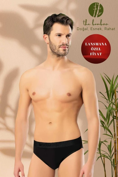 ERDEM İÇ GİYİM Weweus Siyah Erkek Süper Ince Doğal Bambu Lüks Slip 1011 ürün görseli