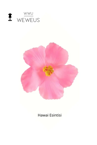 Weweus Kadın Hawai Stili Pembe Çiçek Premium Toka - 5