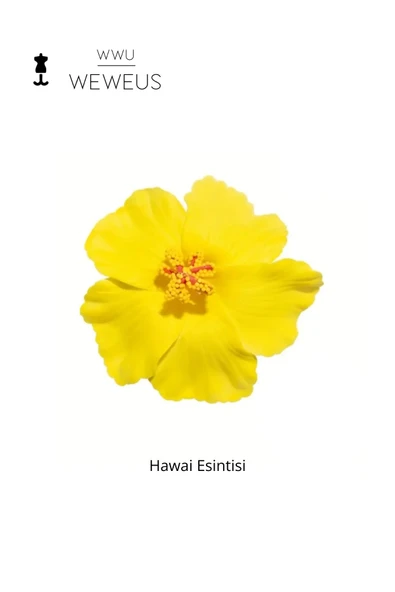 Weweus Kadın Hawai Stili Sarı Çiçek Premium Toka - 1
