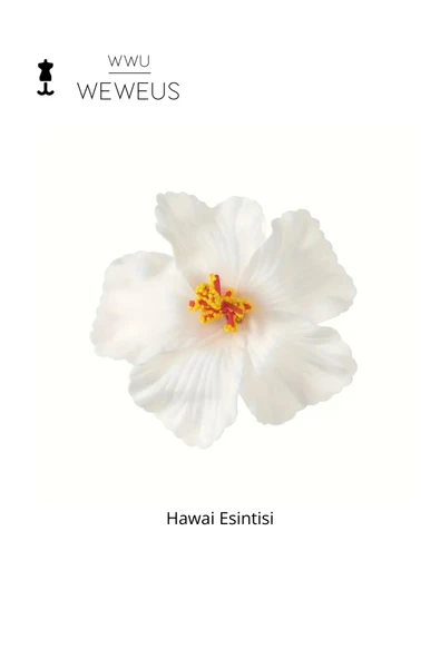 Weweus Kadın Hawai Stili Beyaz Çiçek Premium Toka - 1