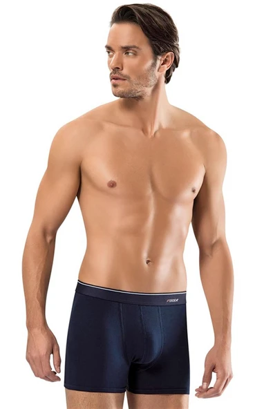 ERDEM İÇ GİYİM Erdem Füme-gri-lacivert 3'lü Basic Boxer 1491 - Resim 2
