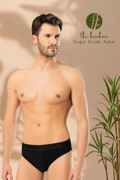 ERDEM İÇ GİYİM Weweus Siyah Erkek Süper Ince Doğal Bambu Lüks Slip 1011 - 3