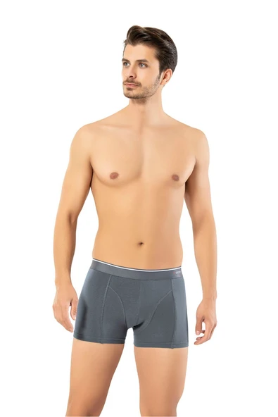 ERDEM İÇ GİYİM Erdem Füme Pamuk Elastan Klasik Boxer 1445 - Resim 3