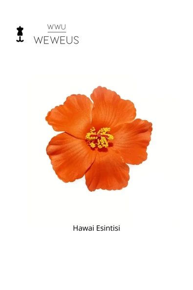 Weweus Kadın Hawai Stili Turuncu Çiçek Premium Toka - 4