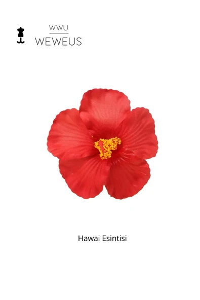 Weweus Kadın Hawai Stili Kırmızı Çiçek Premium Toka - 5