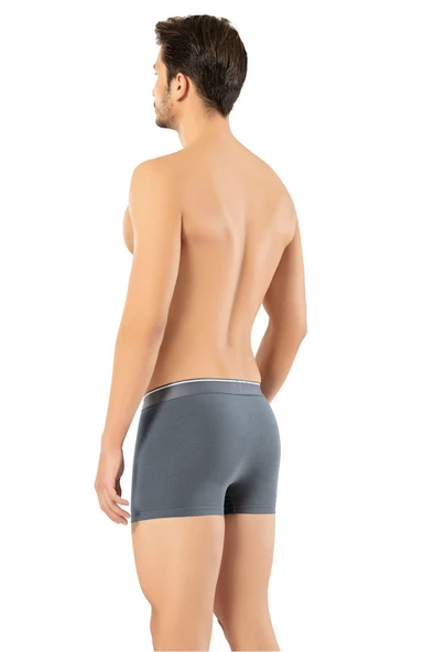 ERDEM İÇ GİYİM Erdem Füme Pamuk Elastan Klasik Boxer 1445 - Resim 2