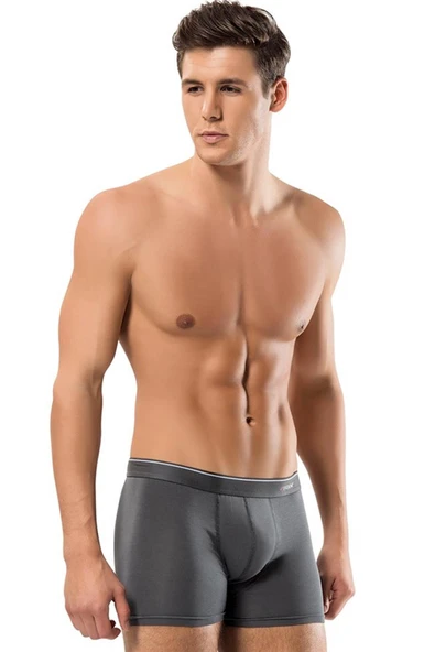 ERDEM İÇ GİYİM Erdem Füme-gri-lacivert 3'lü Basic Boxer 1491 ürün görseli