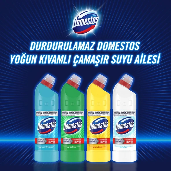 Domestos Yoğun Kıvamlı Çamaşır Suyu Maksimum Hijyen Dağ Esintisi 750 mlX6 - Resim 3