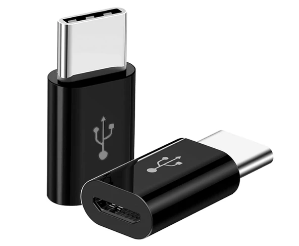 ZR393 Micro Type-C Çevirici - 1