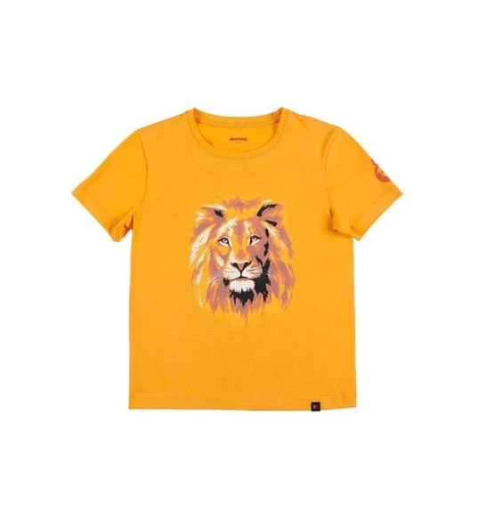 Galatasaray Çocuk Aslan T-shirt C201072 ürün görseli 1