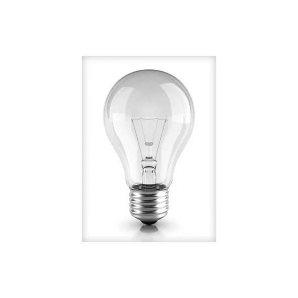 General Electric General 40W 24V 24 Volt Flamanlı Normal Ampul ürün görseli 1