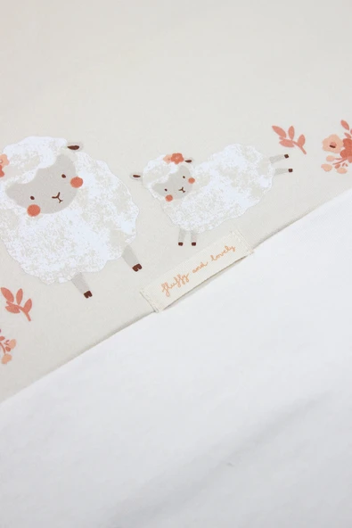 Bistyle 10lu Hastane Çıkışı Fluffy And Lovely 11105 Bej - 4