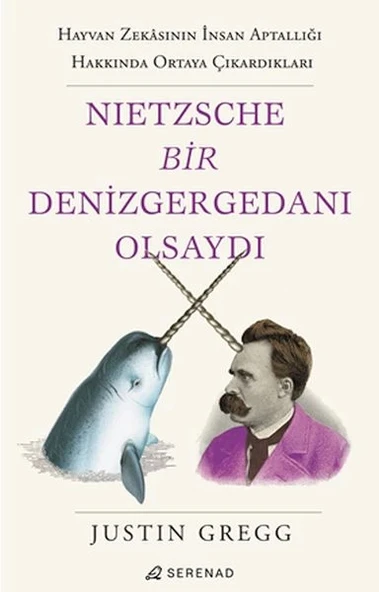 Nietzsche Bir Denizgergedanı Olsaydı ürün görseli