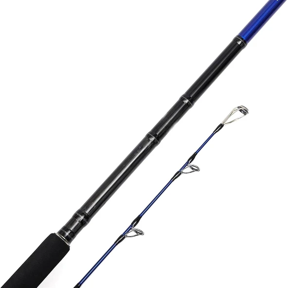Bauer Risco SGS6 305cm 30-100gr Shore Jigging Kamışı - Resim 2