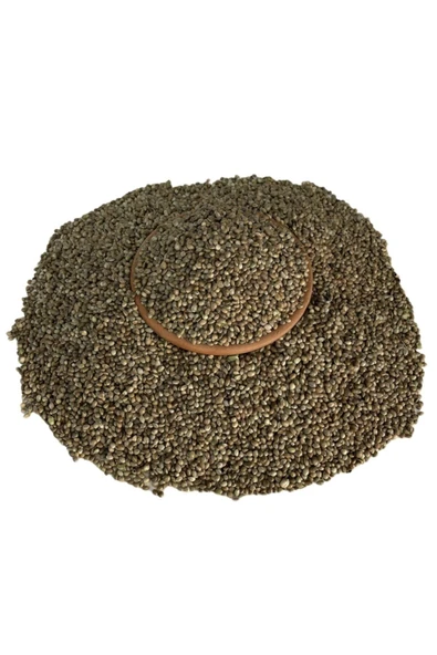 Kendir Tohumu 500gram - 2