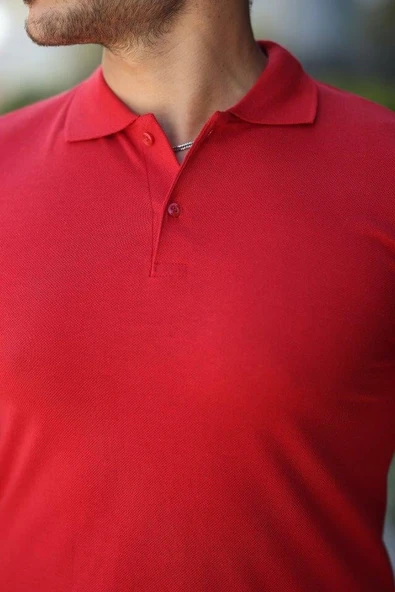 Erkek Kısa Kollu Yakalı Tişört - Resim 3