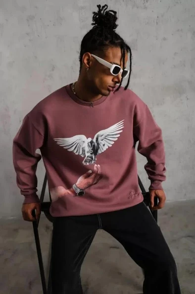 Erkek Güvercin Baskılı Sweatshirt - Gül Kurusu - Resim 2