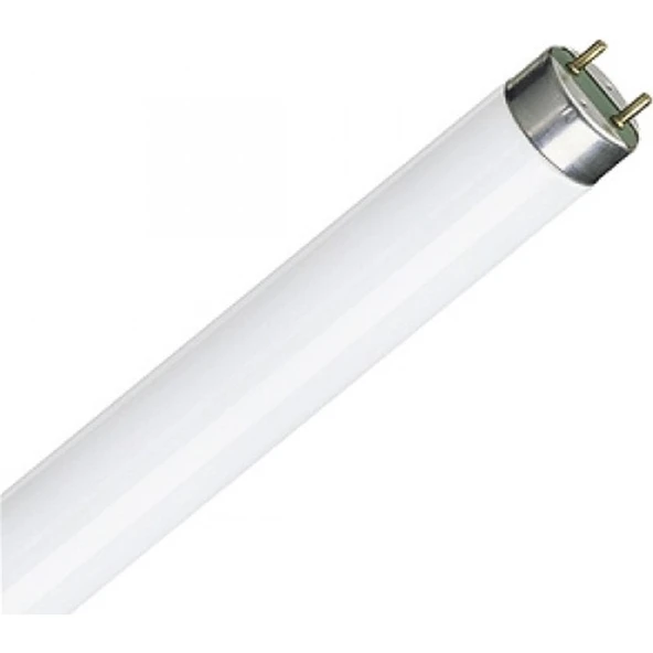 Amp.Flore.T8 G13 36W/840(Ilık Beyaz) ürün görseli 1