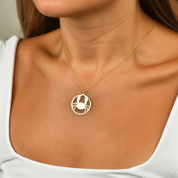 Çember Yengeç Burcu Gümüş Kolye - Rose - Resim 2