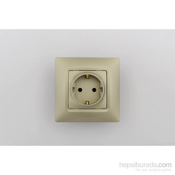 Legrand Salbei Topraklı Priz, Şampanya ürün görseli 1