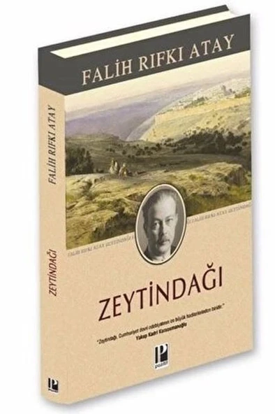 Zeytindağı (Ciltli) ürün görseli