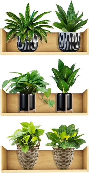 3B Trend 3 adet Bitki Tasarım Duvar Sticker Bitki Saksı Desen Duvar Çıkartması Duvar Dekorasyonu ürün görseli 1