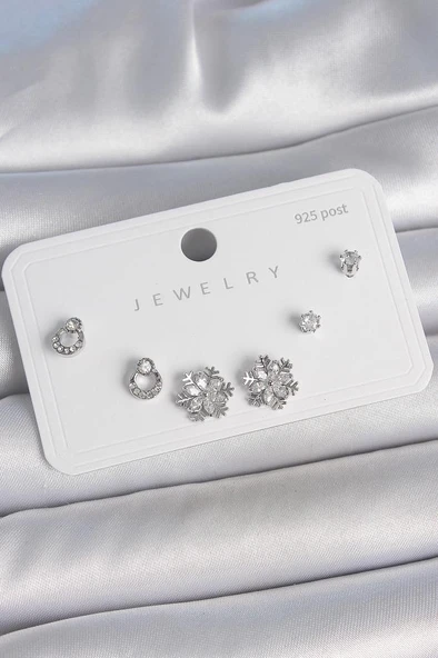 Pirinç Gümüş Renk Zirkon Taşlı Kar Tanesi Model 925 Ayar Gümüş Çivi Kadın Küpe Seti - BKP10483 ürün görseli