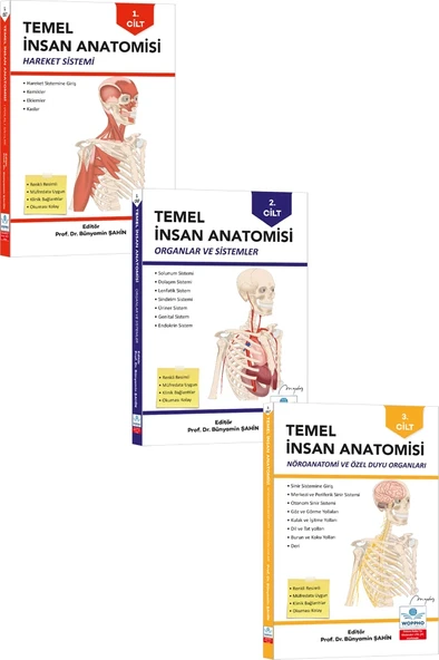 Temel Anatomi Seti 3LÜ ürün görseli 1