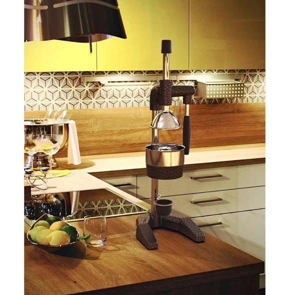 1803 Meyve Presi (Professıonal Dropper Type Fruıt Press) - Resim 3