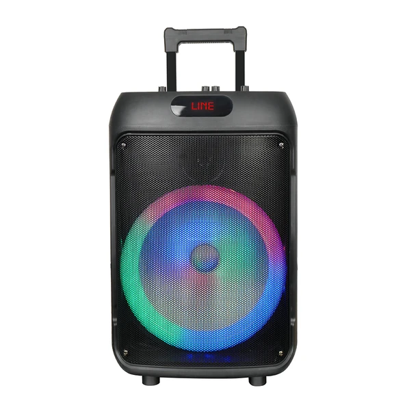 Zore GD-1203 Dijital LED Göstergeli FM Radyolu Mikrofonlu RGB TWS 12 inç Stereo Bass Kablosuz Karaoke Hoparlör - 8