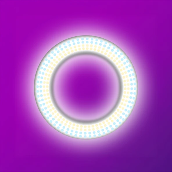 Zore LJJ22 RGB Light 56cm Işıklı Telefon Tutucu Ring Light - 3