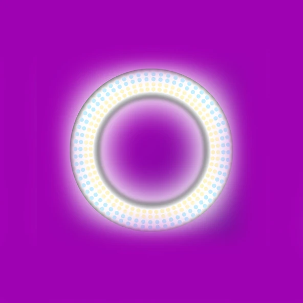 Zore LJJ18 RGB Light 45cm Işıklı Telefon Tutucu Ring Light - 3