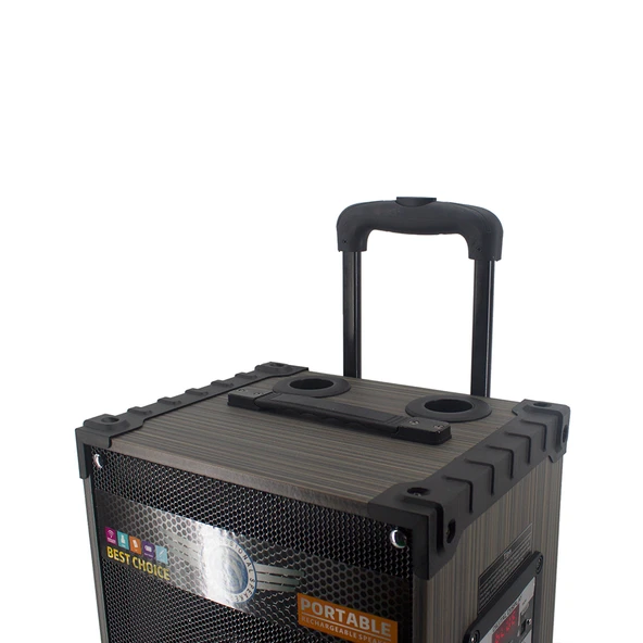 Zore LT-912 Dijital LED Göstergeli FM Radyolu Mikrofonlu Gitar Girişli TWS 12 inç Stereo Bass Kablosuz Karaoke Hoparlör - Resim 3