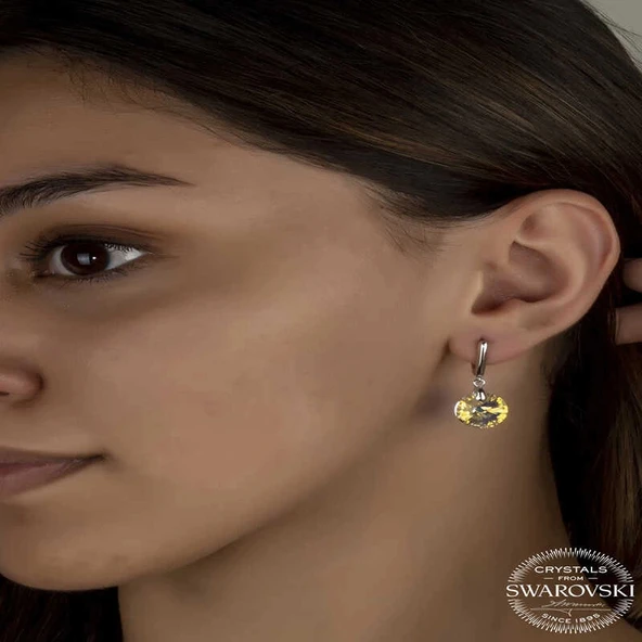 Supertrend Swa Crystal Taşlı Gümüş Beyaz Sallantılı Kadın Küpe - Resim 2