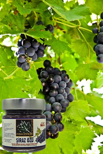 Aşıkzade Şiraz Özü 255 Ml 300 G - 2