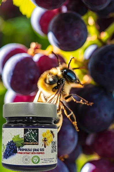 Aşıkzade Propolisli Şiraz Özü 255ml 280g - 2