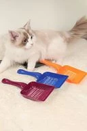 Aralıklı Plastik kedi Kumu Küreği,Temizleme Eleme Küreği Sarı - 2