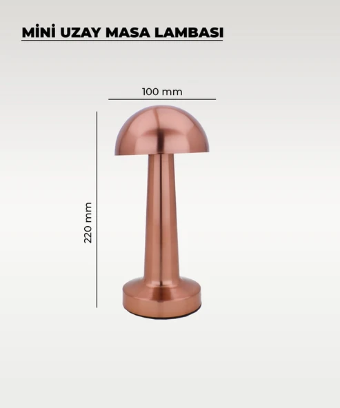 Rose Mantar Masa Lambası - Dokunmatik - 3 Renk Işık - 2