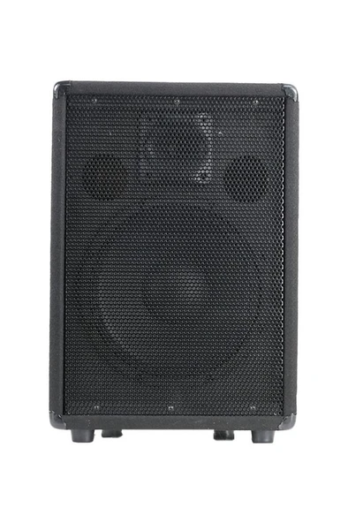 Lastvoice LPM-10 Ahşap Profesyonel Kabin Hoparlör 10 inç 450W - 2