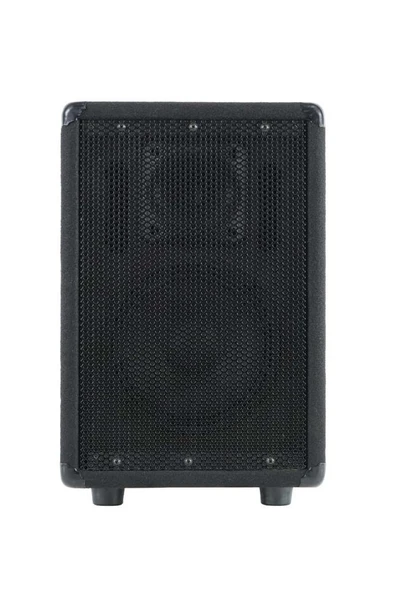 Lastvoice LPM-08 Ahşap Profesyonel Kabin Hoparlör 8 inç 350W - 3