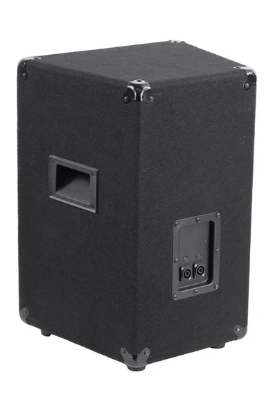 Lastvoice LPM-10 Ahşap Profesyonel Kabin Hoparlör 10 inç 450W - 3