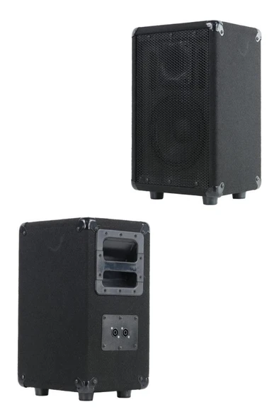 Lastvoice LPM-08 Ahşap Profesyonel Kabin Hoparlör 8 inç 350W - 2